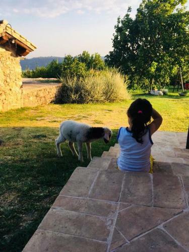 Agroturismo La Collina Degli Ulivi
