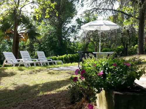 Apartment In Borgo Tossignano 21149