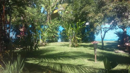 Casa Da �rvore Boutique Hotel