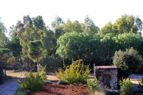Agroturismo Agriturismo Puntarelle