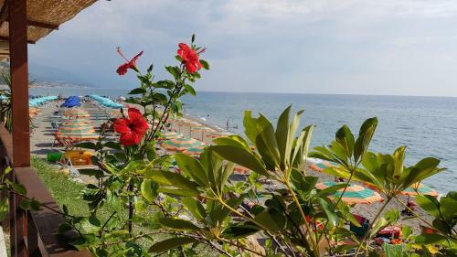 Apartamento Anna: Ampio Appartamento Con Terrazza Vista Mare