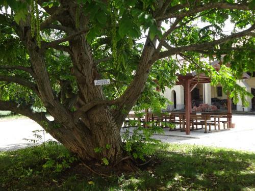 Agroturismo Agriturismo Rivieraoglio