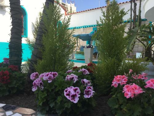 Hostal Residence R&b Tyrrhenum