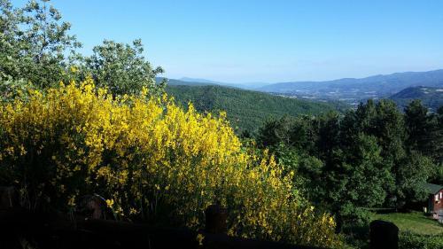 Agroturismo Borgo Tramonte