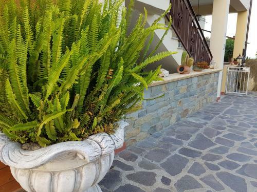 Apartamento Agriturismo Macchia Di Riso