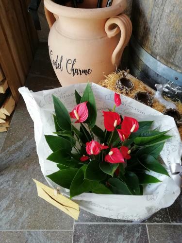 B&B Al Castel Charme