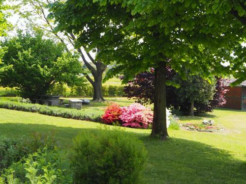 Blu Lavanda Bed & Breakfast