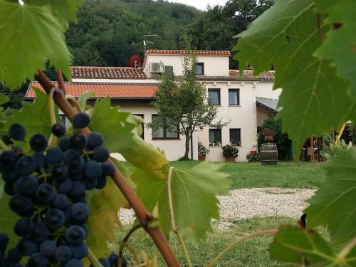 Modern Apartment In Gemmano Italy With Garden