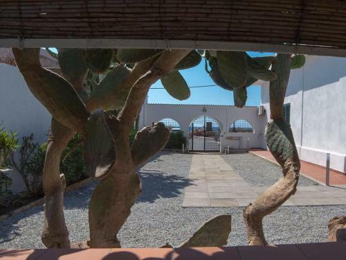 Bed & Breakfast La Casa Del Tono