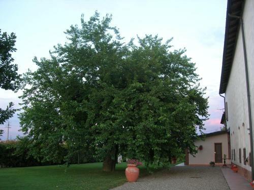 Agroturismo Agriturismo Campass