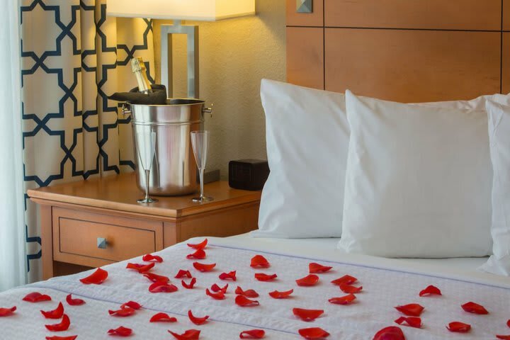 Hotel Homewood Suites International Drive