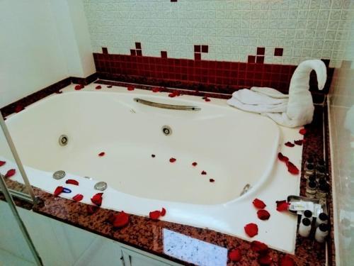 Caribe Park Hotel