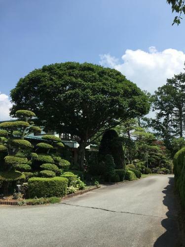 Hostal Yabukiso