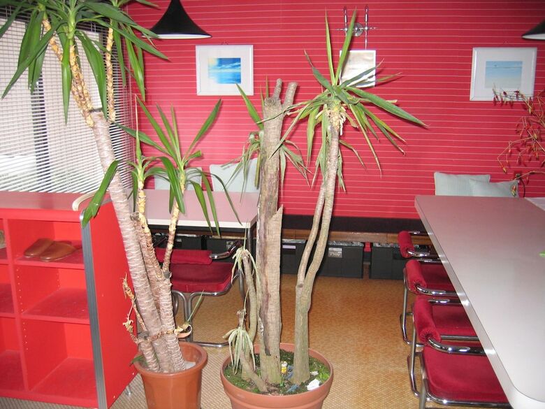 Albergue Pension Croissant