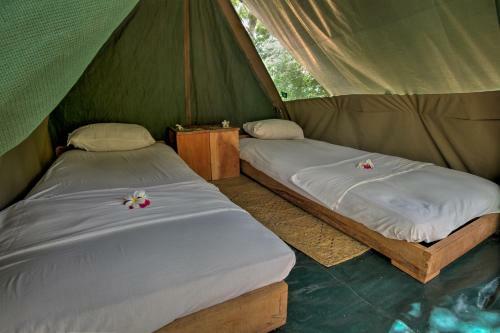 Distant Relatives Ecolodge & Backpackers