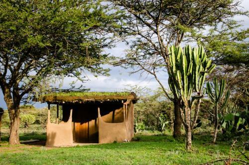 Maji Moto Maasai Cultural Camp