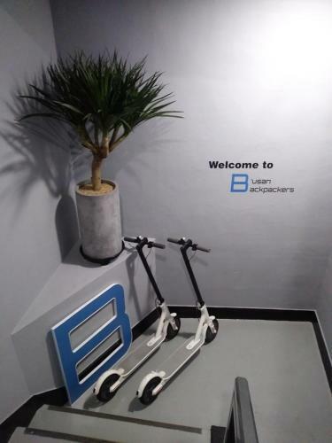 Albergue Busan Backpackers