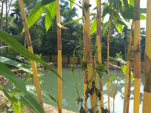 Hotel Sobakee Hill Resort Sri Lanka