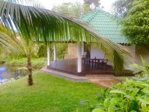 Bed & Breakfast Jungle Heart Cabanas