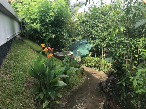 Bed & Breakfast Jungle Heart Cabanas