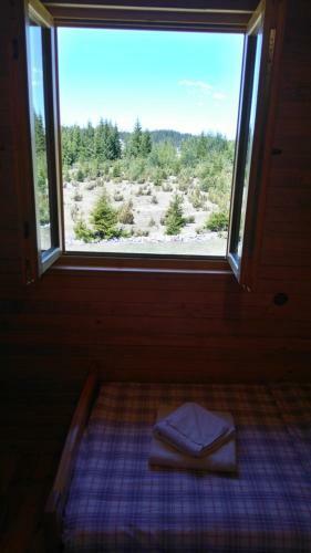 Villa Eco House