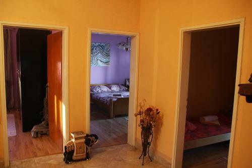 Apartments Jovan
