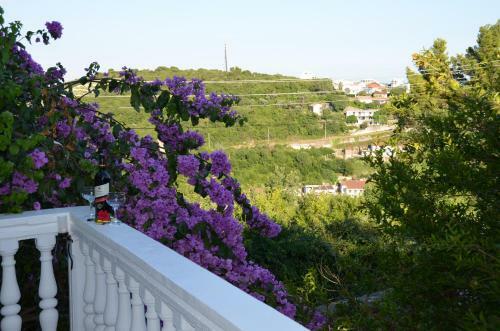 Apartment Dragovic