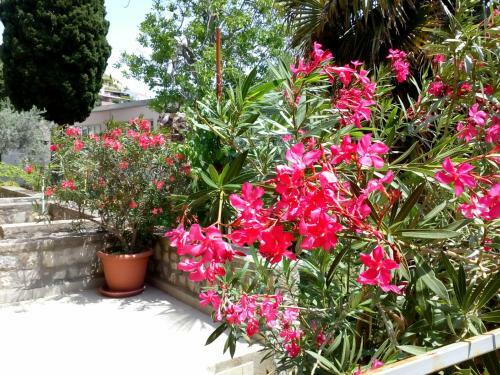 Apartamento Villa Marija Ulcinj