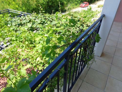 Apartments Villa Tiodorovic