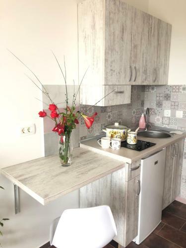 Apartmani Pogled