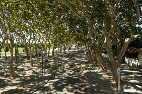 Agroturismo Barquinha Nature House