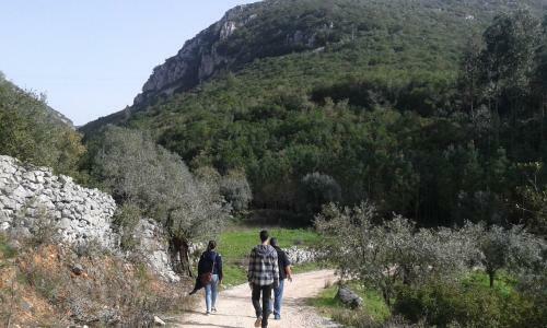 Quinta De S�o Jo�o