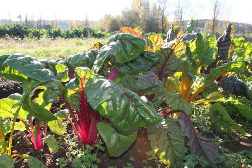 Quinta De S�o Jo�o