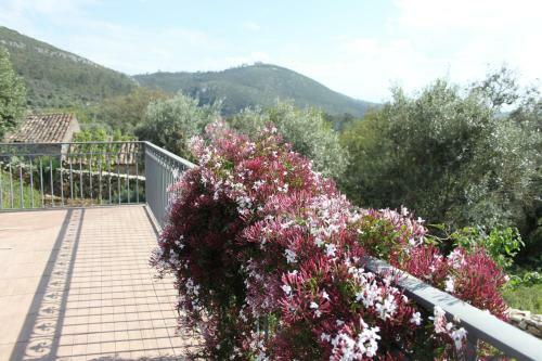 Quinta De S�o Jo�o