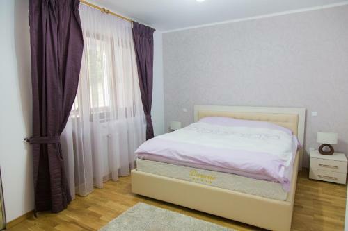 Hostal Pensiunea Andrei