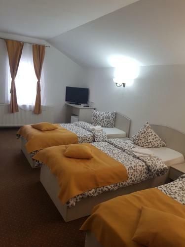 Hostal Pensiunea Alpina