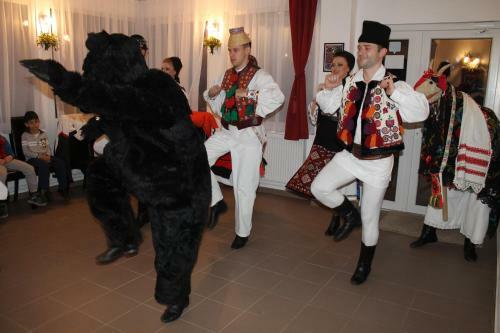 Hostal Pensiunea Alpina