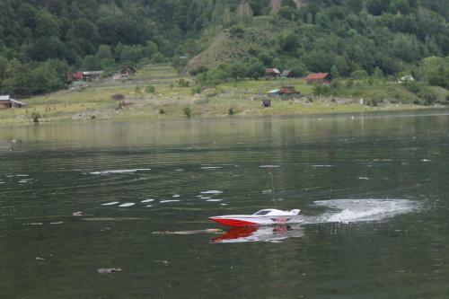 Hostal Pensiunea Alpina