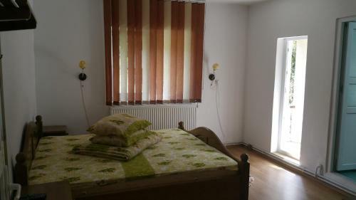 Hostal Pensiunea Badea Gheorghe Agro
