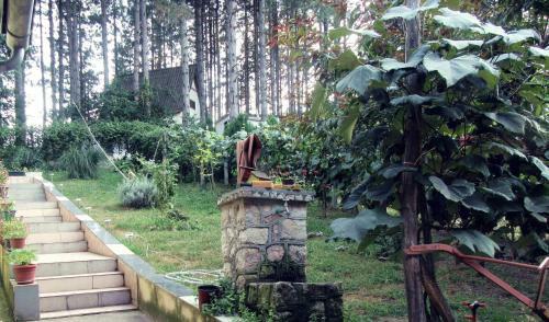 Hostal Guest House Keserovic