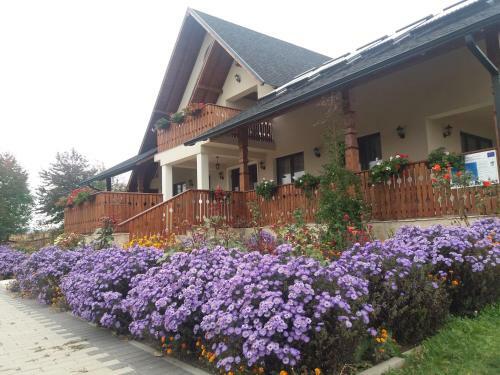 Hostal Pensiunea Obcina Mare