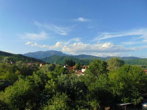 Vila Alina