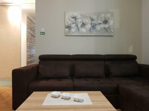 Apartman Zlatna Ru?a