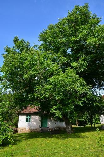 Hostal Kuca Za Odmor Radovanovic