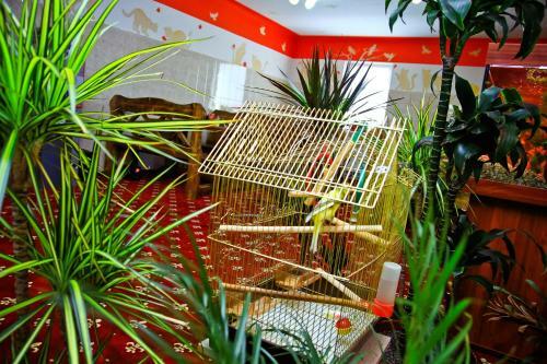 Homehotel