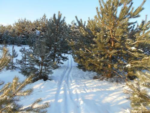Park-hotel Diyevo Gorodishche