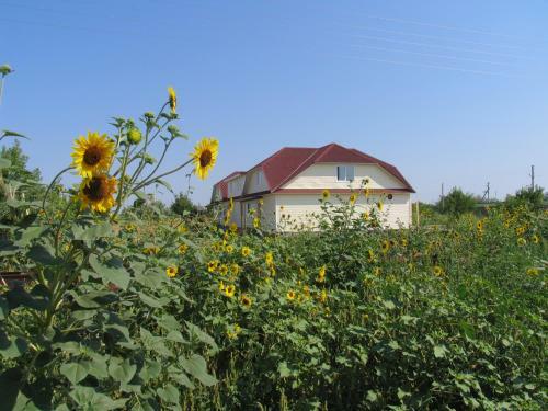 Rybolovny Klub Mesto Vstrechi
