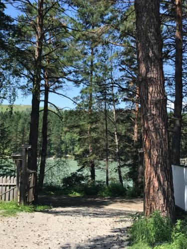 Hostal Complex Edelweis