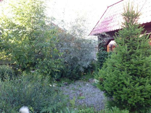 Hostal Lake House