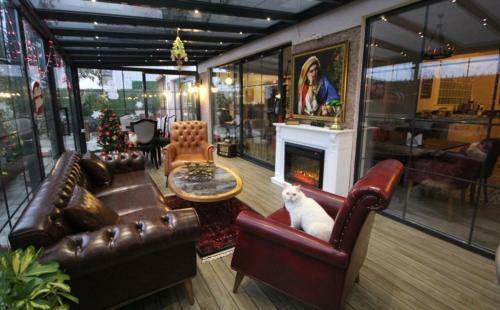 Hotel Lp Lag�n Palas